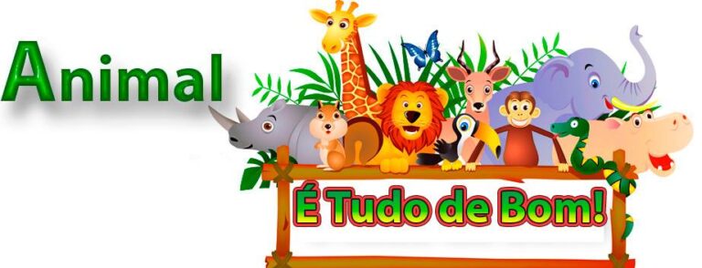 animal é tudo de bom