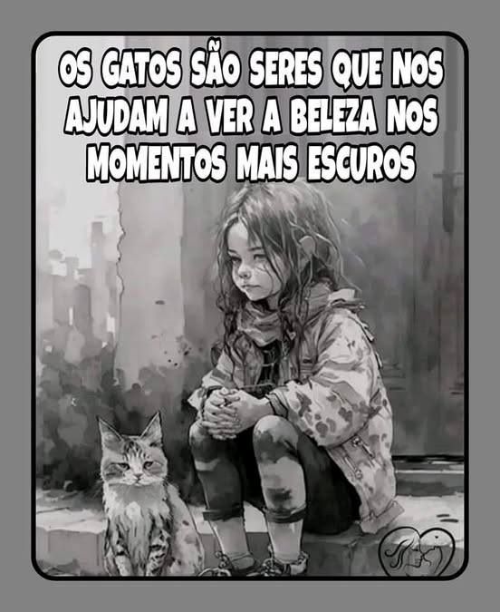A Luz Felina nos Dias Escuros. Ao seu lado, um gato. Magro, de pelos desgrenhados, mas com olhos cheios de vida.