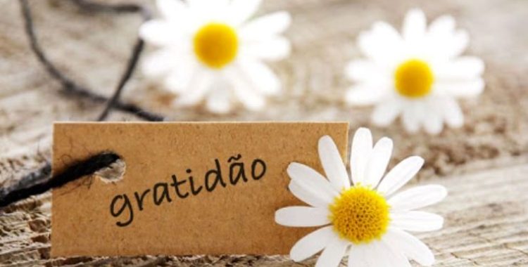 O Poder do Diário da Gratidão O Poder do Diário da Gratidão. Comece hoje a cultivar a gratidão na sua vida e prepare-se para colher os frutos de uma vida mais plena!