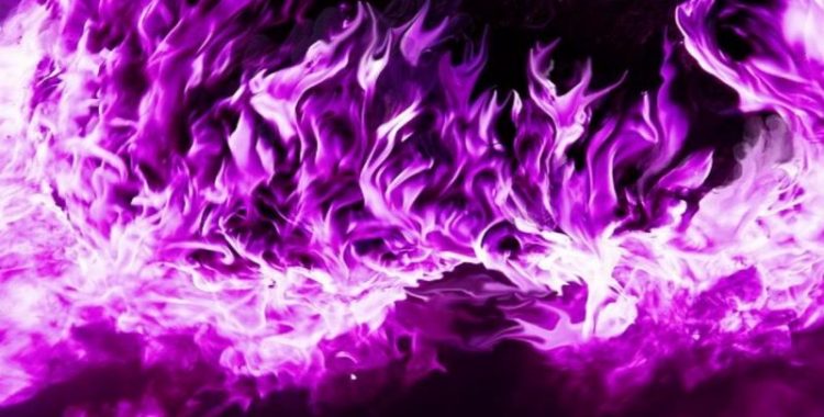 chama violeta chama violeta